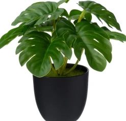 Intratuin kunstplant Monstera D 7 H 16 cm