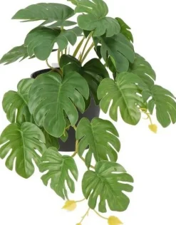 Intratuin kunstplant Monstera D 9 H 18 cm