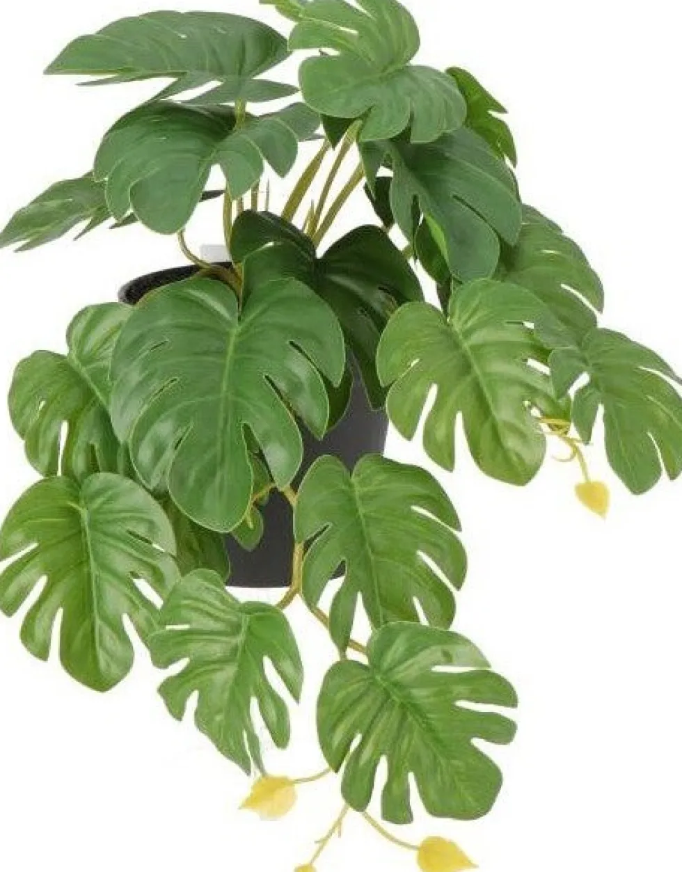 Intratuin kunstplant Monstera D 9 H 18 cm