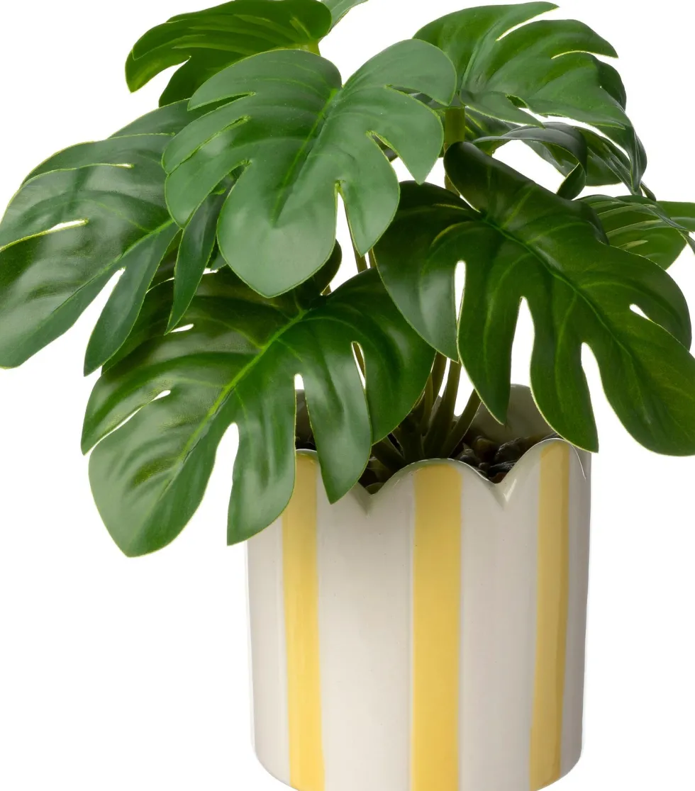 Intratuin kunstplant Monstera geel D 7,5 H 16 cm