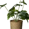 Intratuin kunstplant Monstera D 11 H 26 cm