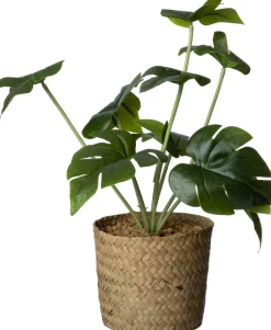 Intratuin kunstplant Monstera D 11 H 26 cm