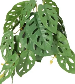Intratuin kunstplant Monstera andersoni D 9 H 18 cm