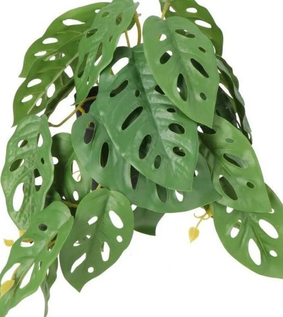 Intratuin kunstplant Monstera andersoni D 9 H 18 cm