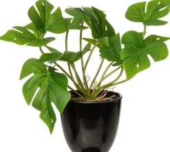 Intratuin kunstplant Monstera H 24 cm