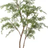 Intratuin kunstplant Moringaboom D 23 H 200 cm