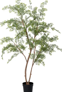Intratuin kunstplant Moringaboom D 23 H 200 cm