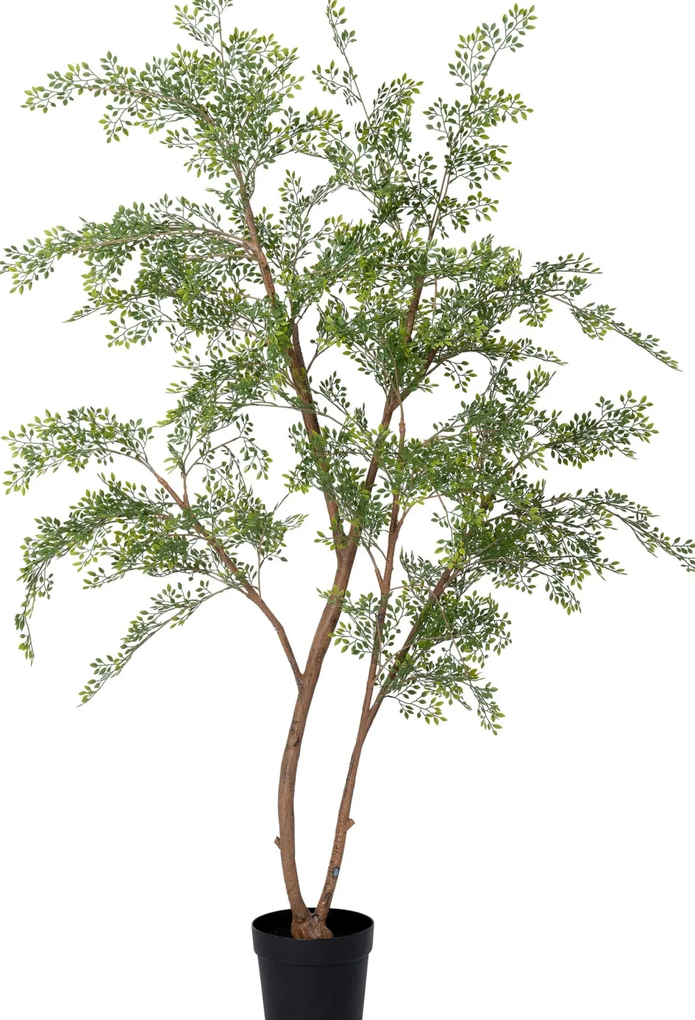 Intratuin kunstplant Moringaboom D 23 H 200 cm