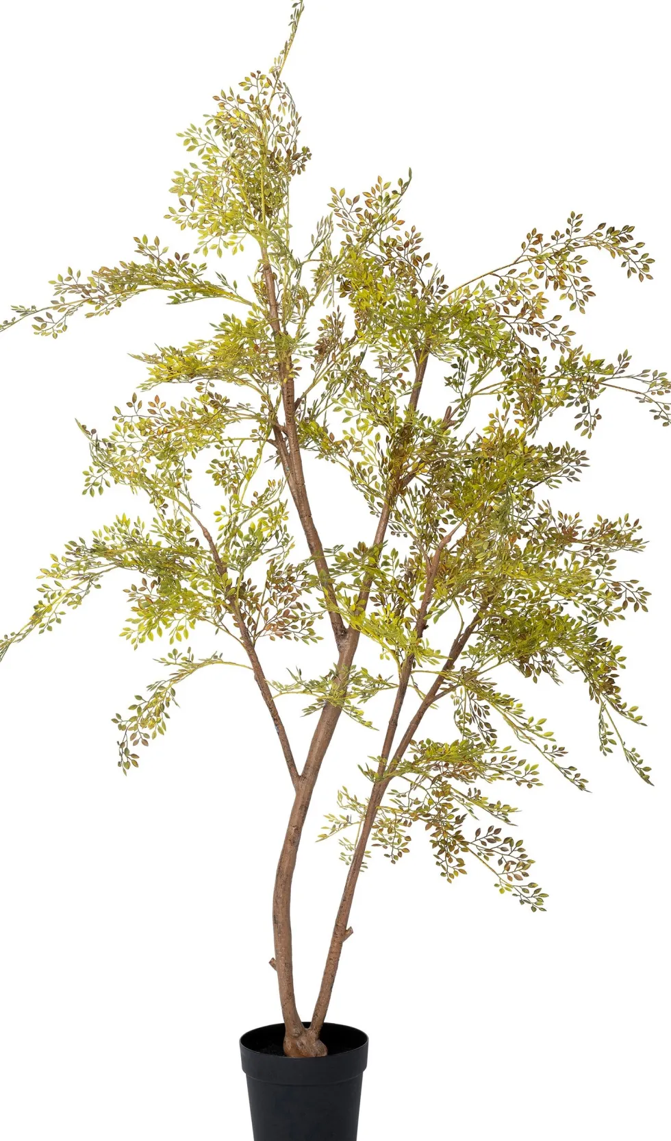 Intratuin kunstplant Moringaboom bruin / groen D 23 H 200 cm