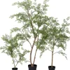 Intratuin kunstplant Moringaboom D 19 H 130 cm