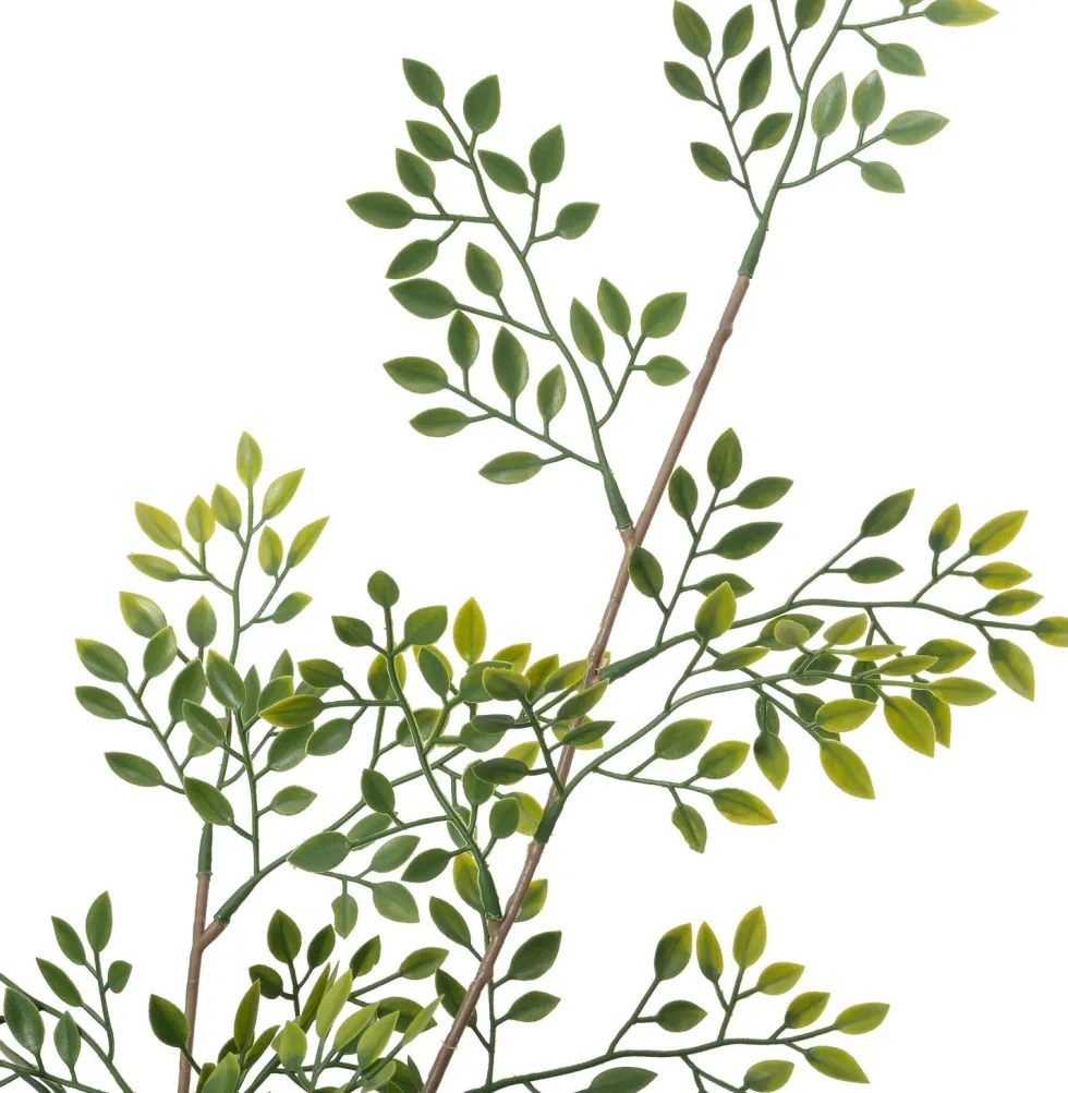 Intratuin kunstplant Moringaboom D 19 H 130 cm