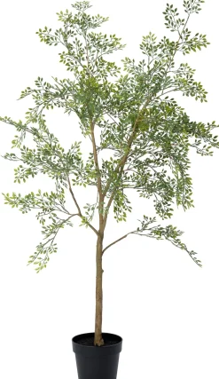 Intratuin kunstplant Moringaboom D 19 H 130 cm