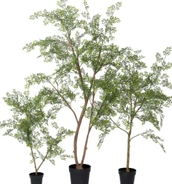 Intratuin kunstplant Moringaboom D 15 H 71 cm