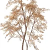 Intratuin kunstplant Moringaboom goud D 23 H 200 cm