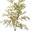Intratuin kunstplant Moringaboom bruin / groen D 15 H 71 cm