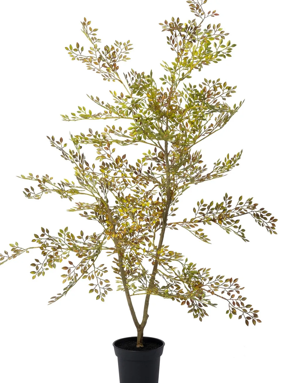 Intratuin kunstplant Moringaboom bruin / groen D 15 H 71 cm