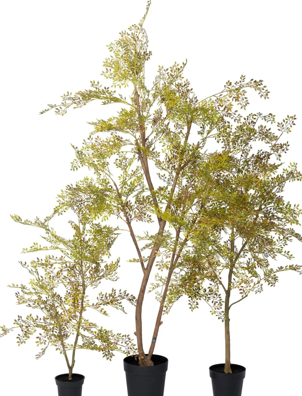 Intratuin kunstplant Moringaboom bruin / groen D 15 H 71 cm