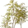 Intratuin kunstplant Moringaboom bruin / goud D 19 H 130 cm