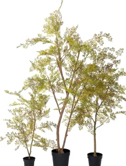 Intratuin kunstplant Moringaboom bruin / goud D 19 H 130 cm