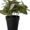 Intratuin kunstplant Mozaïekplant H 19 cm