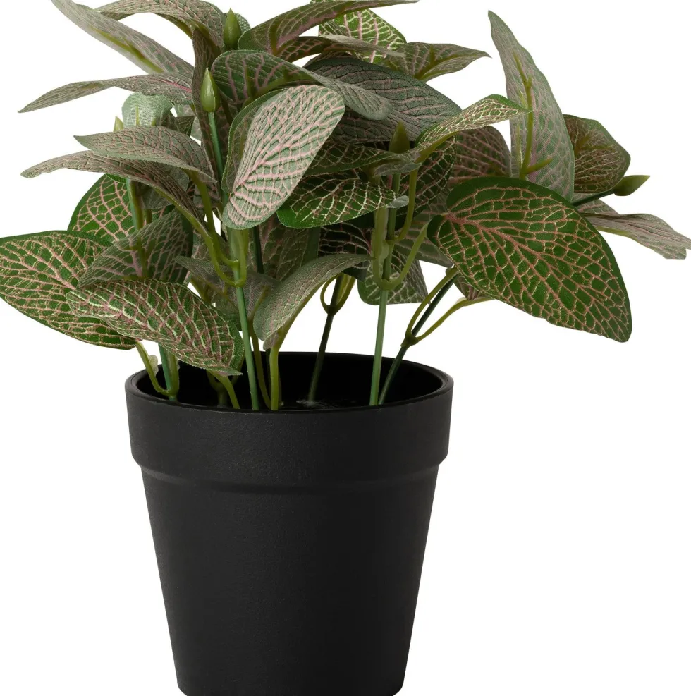 Intratuin kunstplant Mozaïekplant H 19 cm