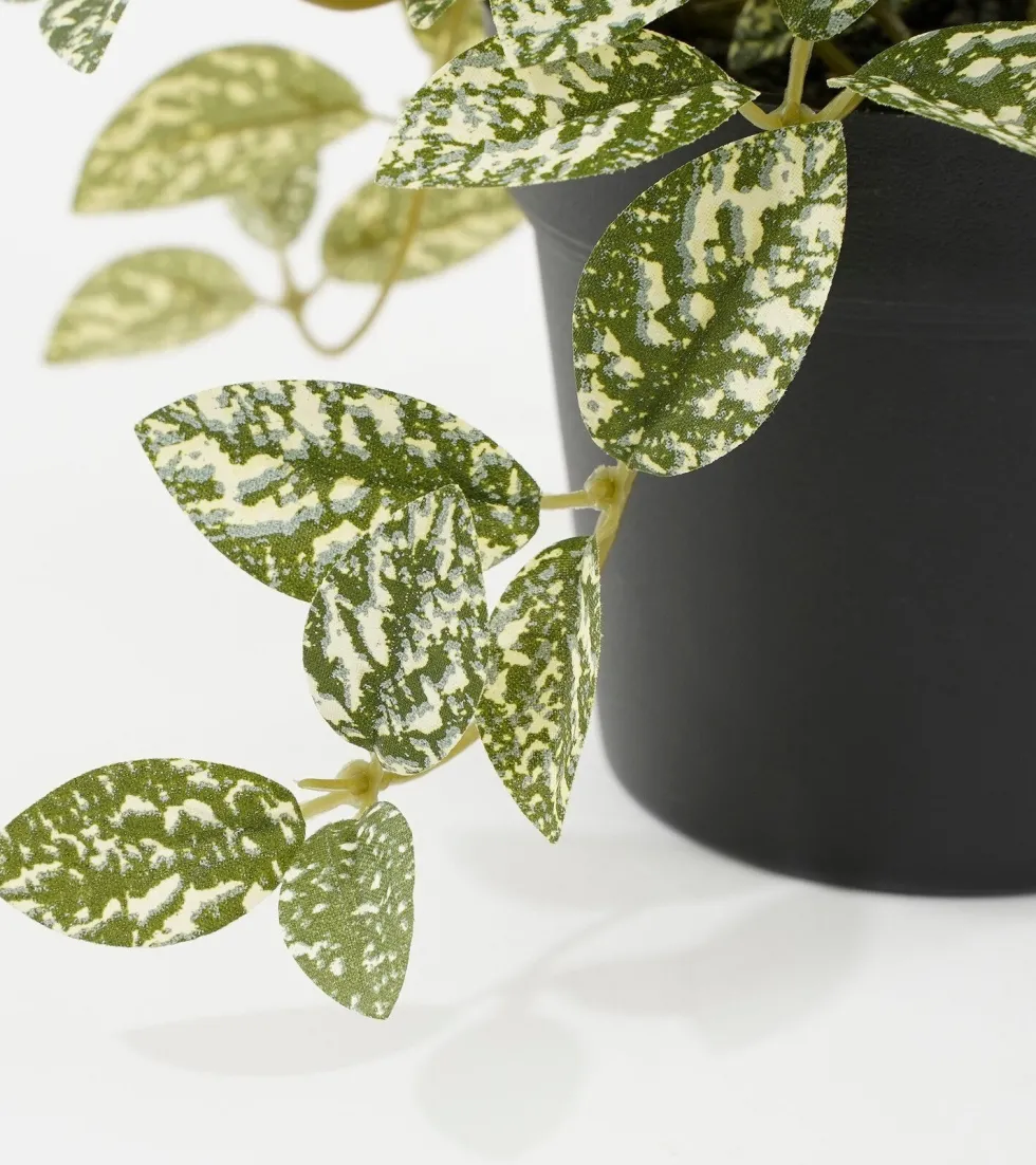 Intratuin kunstplant Mozaïekplant witbont H 16 cm
