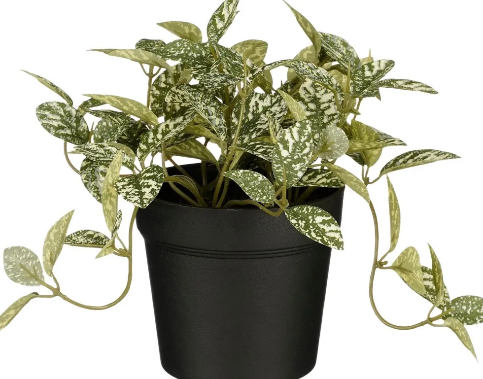 Intratuin kunstplant Mozaïekplant witbont H 16 cm