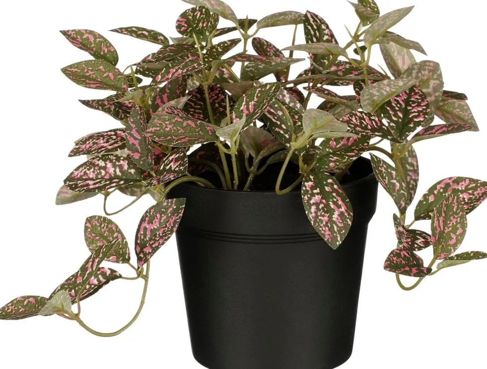 Intratuin kunstplant Mozaïekplant roze H 16 cm