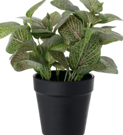 Intratuin kunstplant Mozaïekplant roze / groen H 19 cm