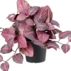 Intratuin kunstplant Mozaiekplantje paars D 9 H 25 cm