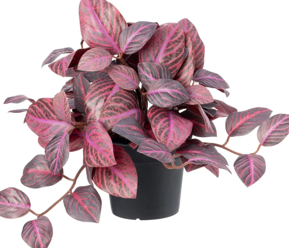 Intratuin kunstplant Mozaiekplantje paars D 9 H 25 cm