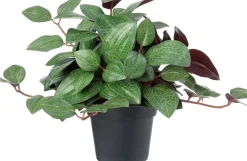 Intratuin kunstplant Mozaiekplantje D 9 H 22 cm