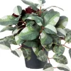Intratuin kunstplant Mozaiekplantje groen / wit D 9 H 25 cm