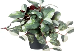 Intratuin kunstplant Mozaiekplantje groen / wit D 9 H 25 cm