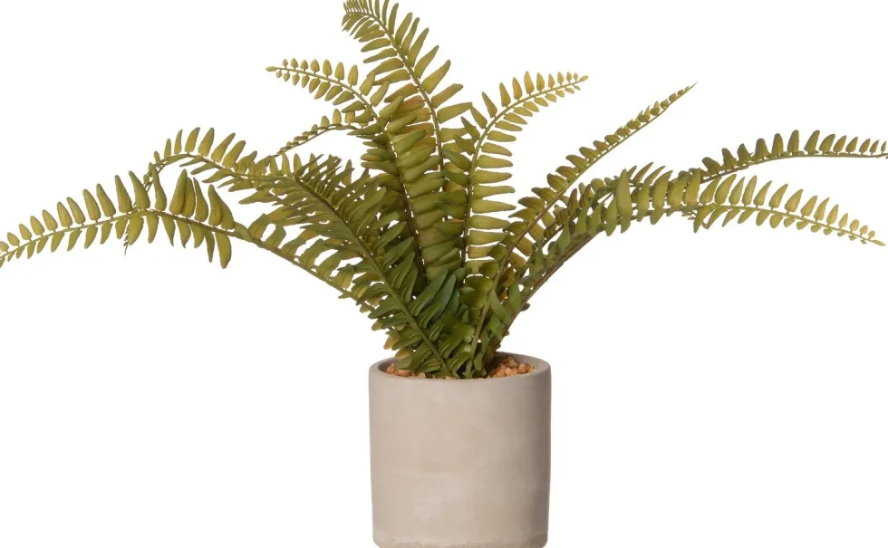 Intratuin kunstplant Nestvaren H 35 cm