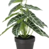 Intratuin kunstplant Olifantsoor D 11 H 30 cm