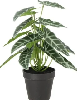 Intratuin kunstplant Olifantsoor D 11 H 30 cm