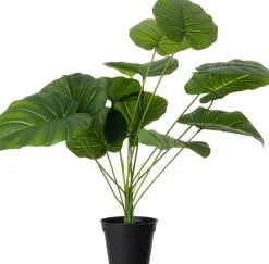 Intratuin kunstplant Olifantsoor D 12,9 H 60 cm