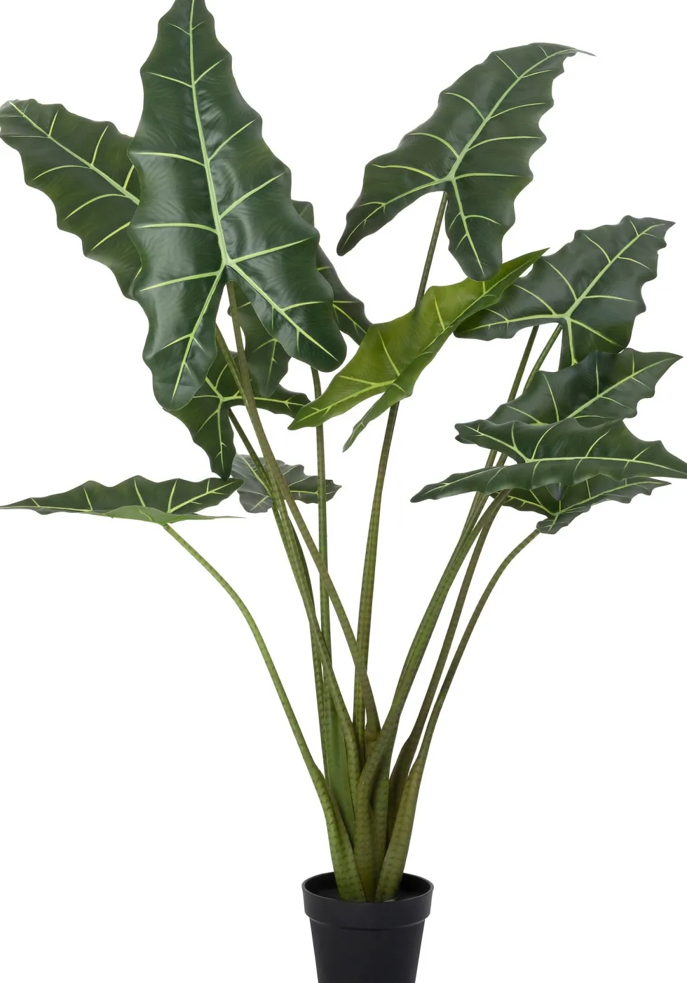 Intratuin kunstplant Olifantsoor D 18 H 110 cm