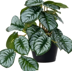 Intratuin kunstplant Olifantsoor grijs / groen D 9 H 17 cm
