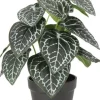 Intratuin kunstplant Olifantsoor groen / grijs D 11 H 30 cm