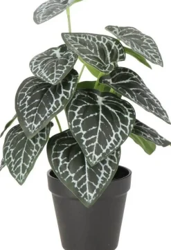 Intratuin kunstplant Olifantsoor groen / grijs D 11 H 30 cm