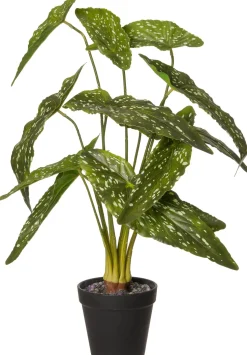 Intratuin kunstplant Olifantsoor H 48 cm
