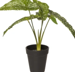 Intratuin kunstplant Olifantsoor H 26 cm