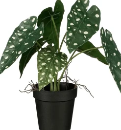 Intratuin kunstplant Olifantsoor H 27 cm