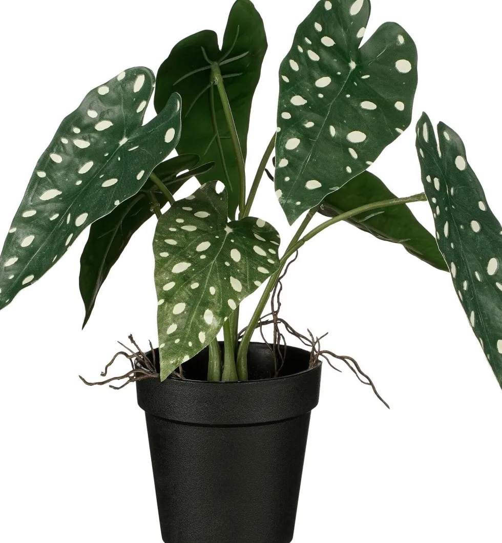 Intratuin kunstplant Olifantsoor H 27 cm