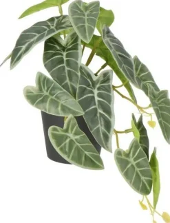 Intratuin kunstplant Olifantsoor groen / grijs D 9 H 18 cm