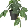 Intratuin kunstplant Olifantsoor D 9 H 18 cm