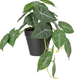 Intratuin kunstplant Olifantsoor D 9 H 18 cm