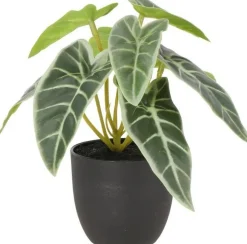 Intratuin kunstplant Olifantsoor lichtgroen D 7 H 16 cm